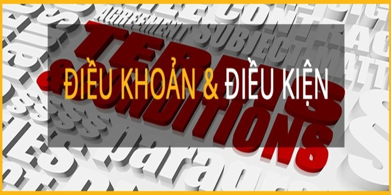 Điều khoản và điều kiện là bộ quy định chi tiết về mọi khía cạnh cá cược